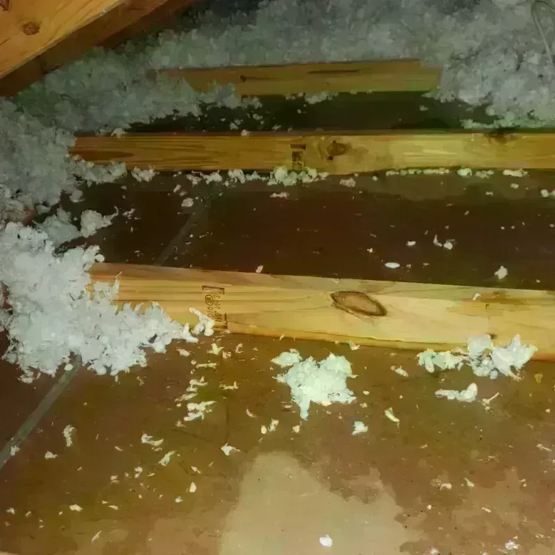 Attic Water Damage in Cuba, IL